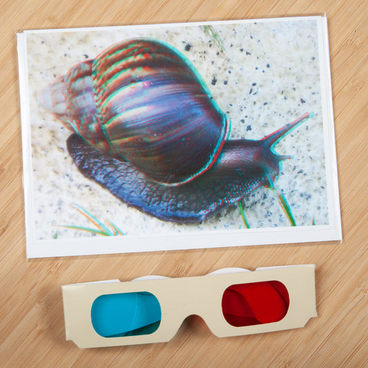 Creatures 3D Greeting Cards by Phantom 3D