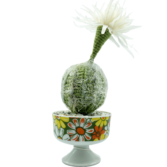 Large Crocheted Cacti by MeganLysbeth Crafts