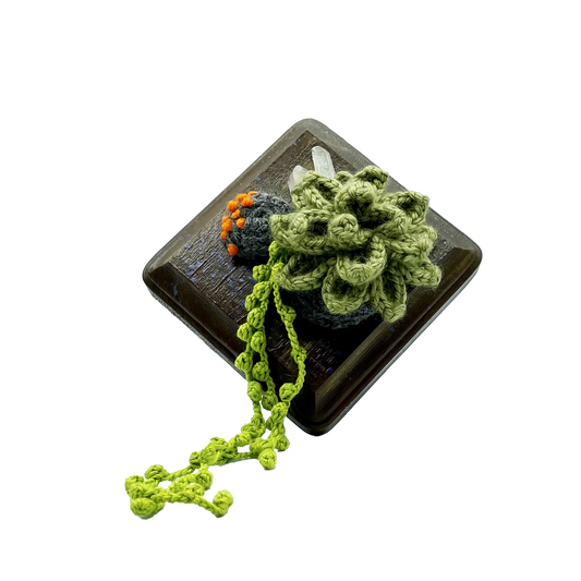 Cactus Wall Hanging by MeganLysbeth Crafts