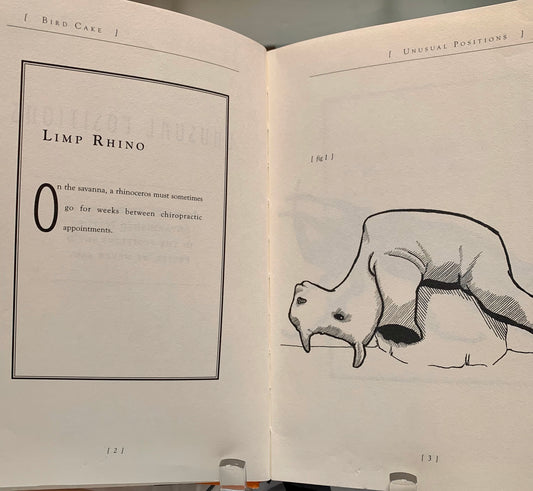 Bird Cake: A book of Disheartening Drawings