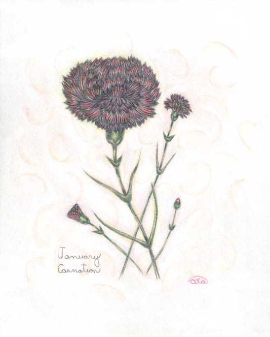 Flower of the Month Greeting Cards by Luna Rising Art Studio