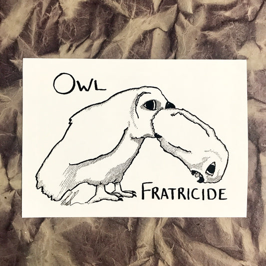 Owl Fratricide