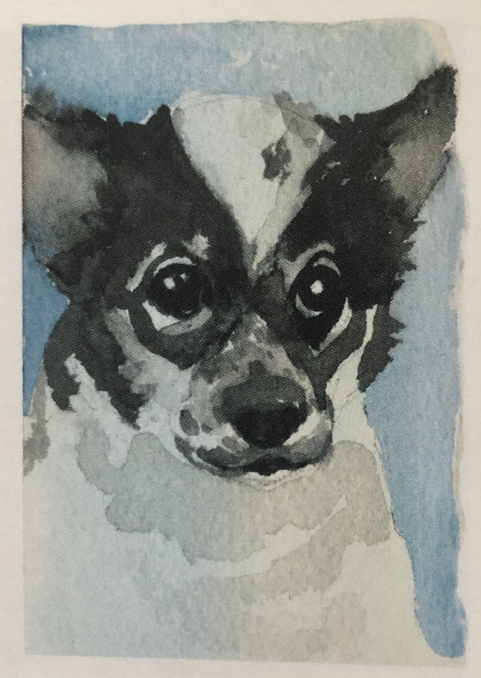 Best Friends Dog Greeting Cards by Stephanie Han